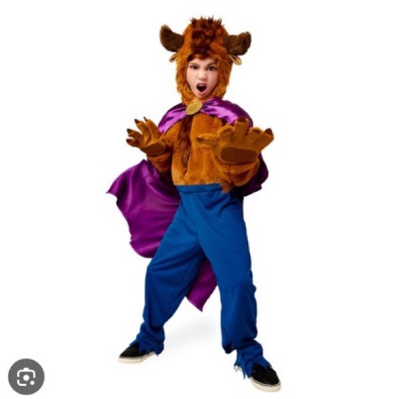 Disney Other - Disney store Beauty and the Beast costume